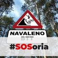 38-Navaleno Btt Soria